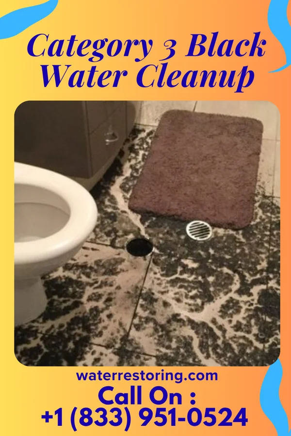 Category 3 Black Water Cleanup in Sunnyside, GA