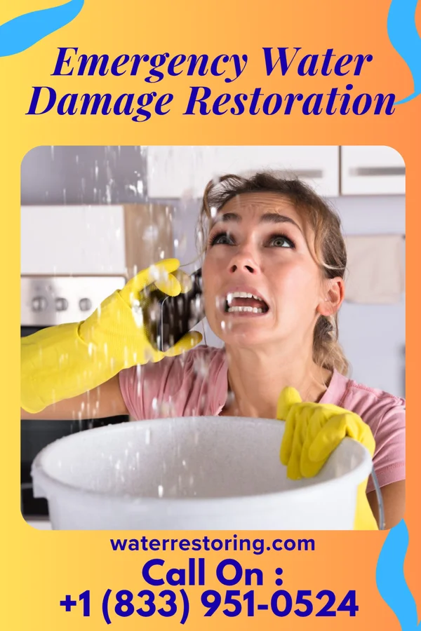 Emergency Water Damage Restoration in Sunnyside, GA